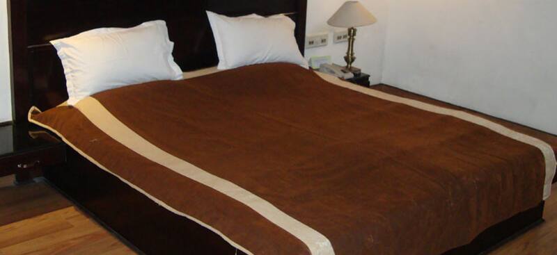 Hotel Icy Spicy, Bathinda 5
